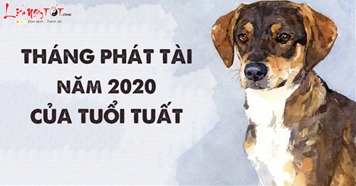 11THÁNG PHÁT TÀI 2020 TUỔI TUẤT 11THANG PHAT TAI 2020 TUOI TUAT