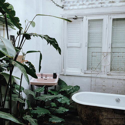 2 homestay đẹp nhất Đà Lạt với cách bố trí nhà tràn màu xanh hình ảnh 3 2 homestay dep nhat Da Lat voi cach bo tri nha tran mau xanh hinh anh 3