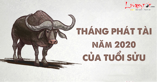 2THÁNG PHÁT TÀI 2020 cua TUỔI SỬU 2THANG PHAT TAI 2020 cua TUOI SUU