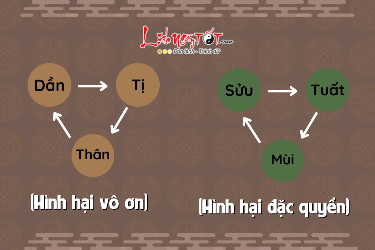 Bằng Hình Bang Hinh