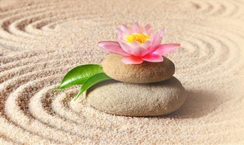 Càng cưỡng cầu càng thêm khổ Cang cuong cau cang them kho
