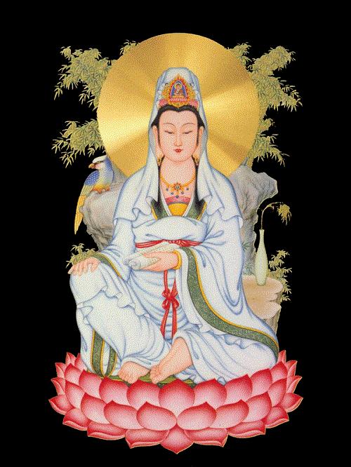 Cầu an tháng cô hồn với 12 đại nguyện của Phật Bà Quan Âm hình ảnh Cau an thang co hon voi 12 dai nguyen cua Phat Ba Quan Am hinh anh
