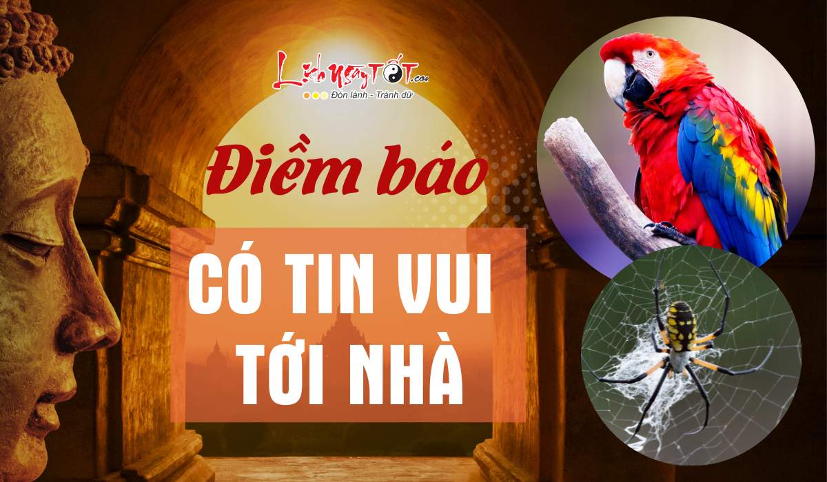Diem  bao co tin vui den nha ban