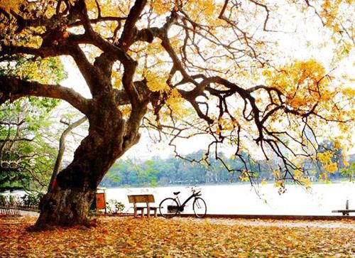 dự báo thời tiết ngày 1.10 Dự báo thời tiết ngày 1/10/2021