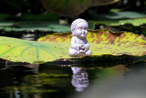 đức phật nói về duyên gặp gỡ duc phat noi ve duyen gap go