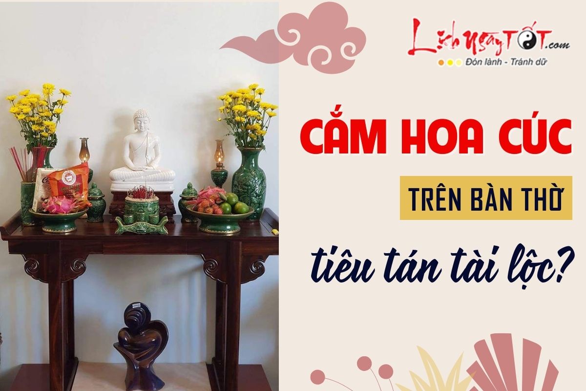 Cam hoa cuc tren ban tho khien tieu tan tai loc