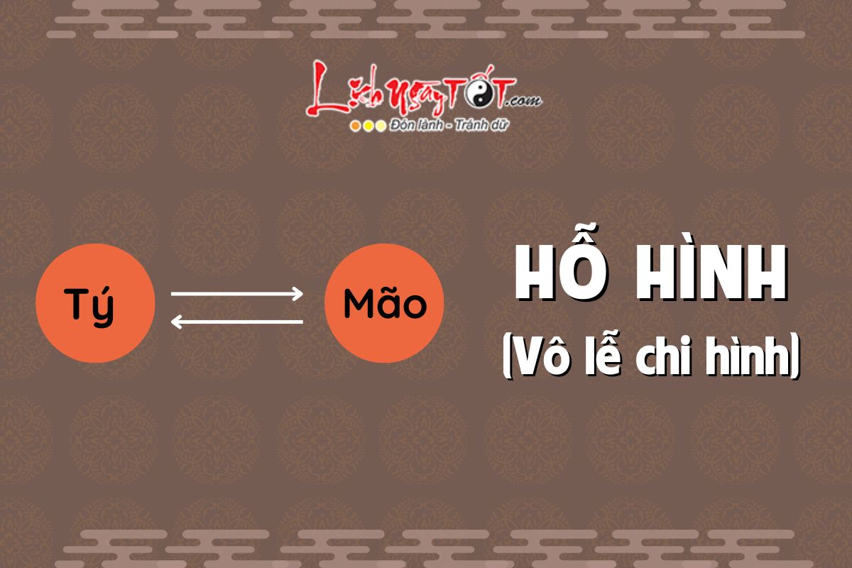 Hỗ Hình Tý Mão Ho Hinh Ty Mao