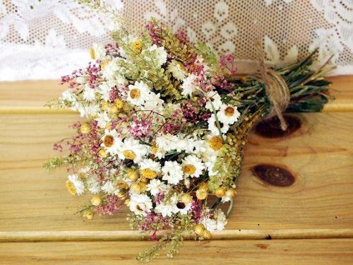 hoa giả phong thủy giả hoa gia phong thuy gia
