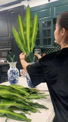 hoa lay on xoe duoi cong