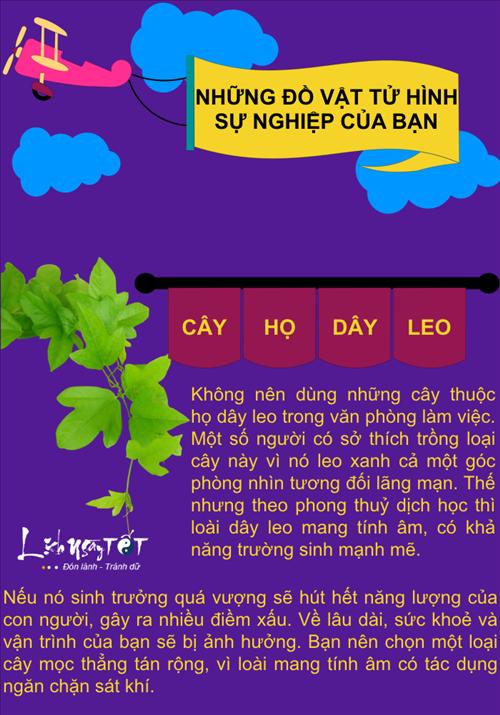Infographic Nhung do vat tu hinh su nghiep cua ban hinh anh