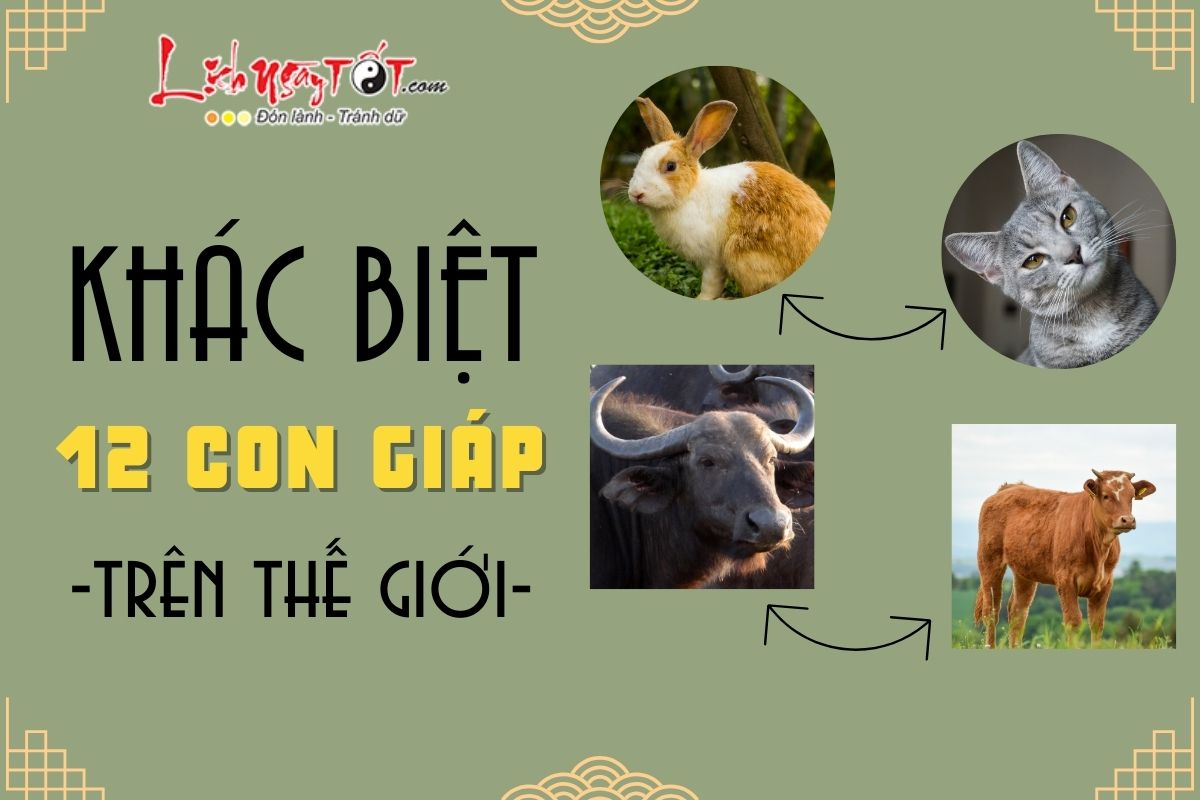Khác biệt 12 con giáp trên thế giới Khac biet 12 con giap tren the gioi