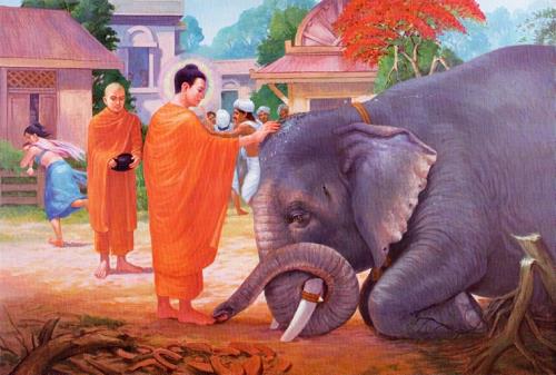 không nên sát sinh sẽ tổn hại đến phúc báo khong nen sat sinh se ton hai den phuc bao