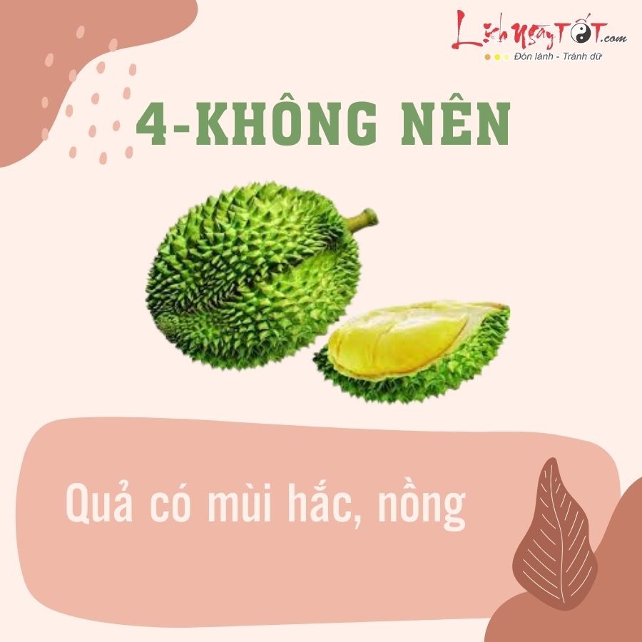 Loai qua khong nen bay tren mam ngu qua 4