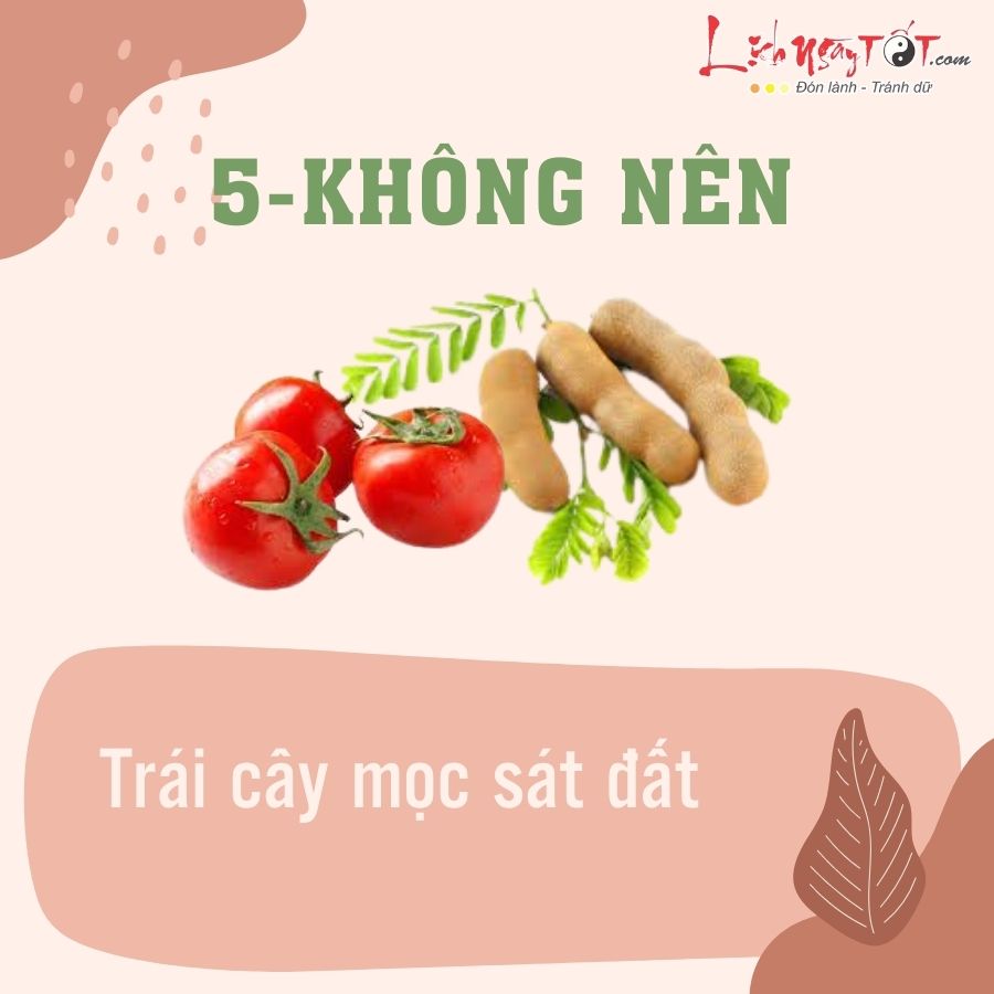 Loai qua khong nen bay tren mam ngu qua 5
