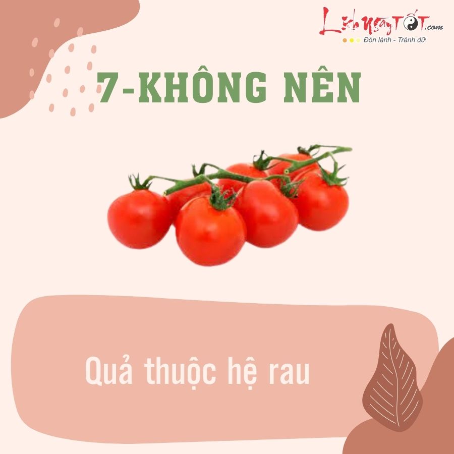 Loai qua khong nen bay tren mam ngu qua 7