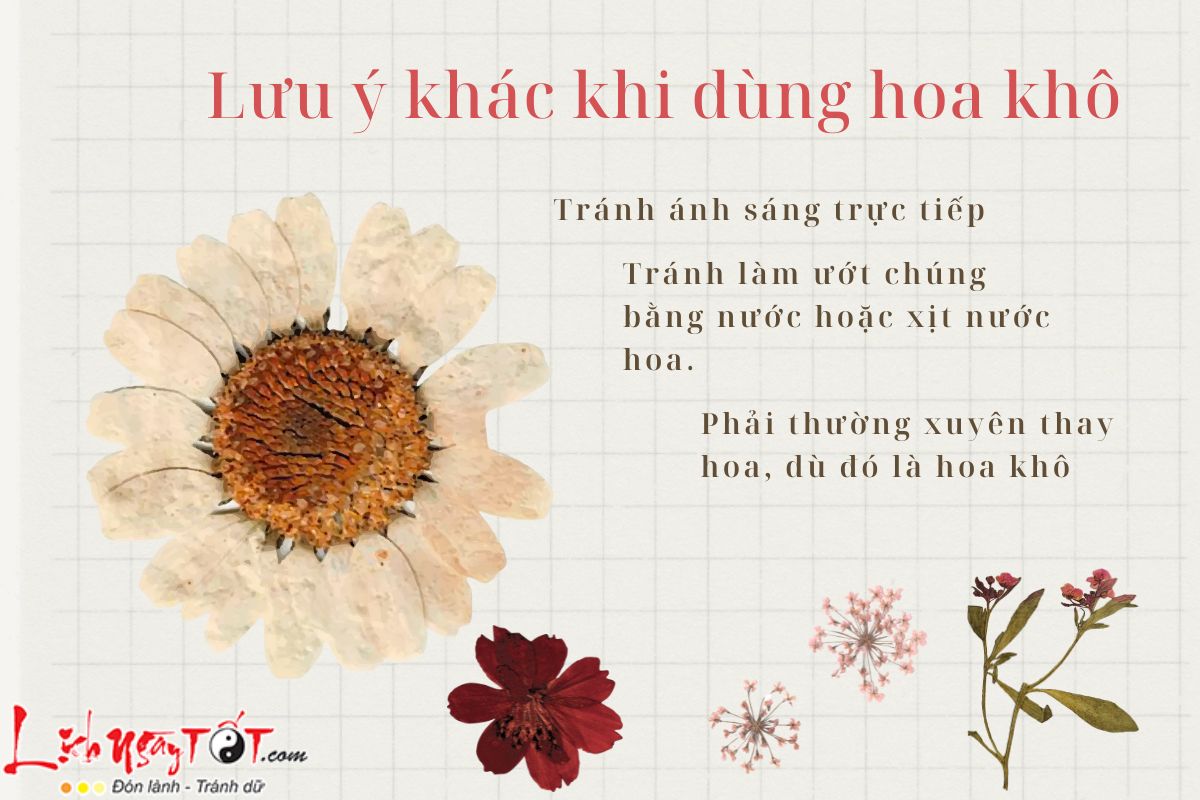 Lưu ý khi dùng hoa khô Luu y khi dung hoa kho