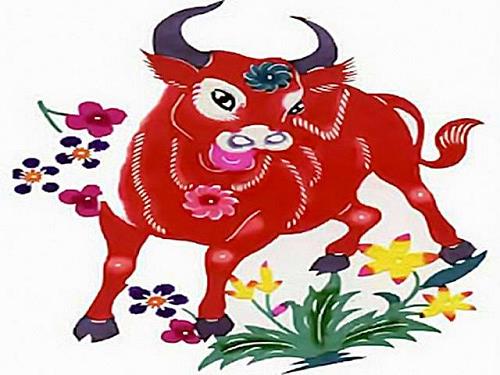 màu đỏ tốt cho sức khỏe mau do tot cho suc khoe