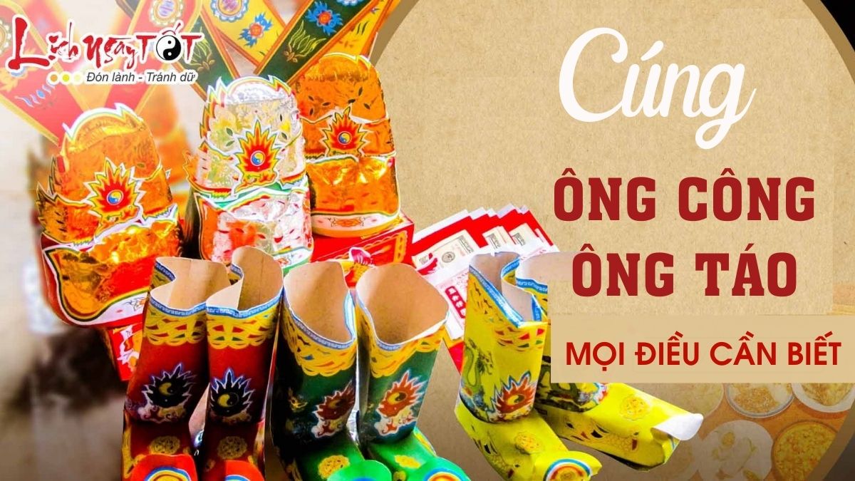 Moi dieu can biet ve Cung ong Cong ong Tao