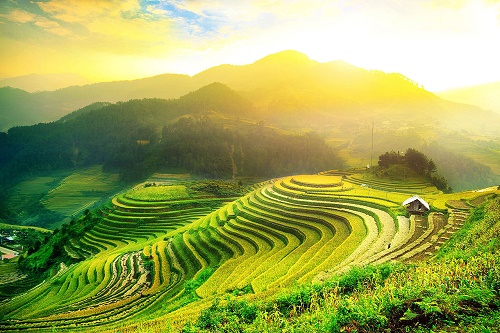 Ngam nhung canh dong lua trong tiet Lap Thu dam say long nguoi hinh anh 6