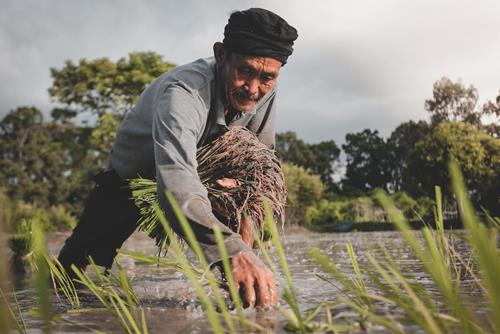nganh nghe co hau
