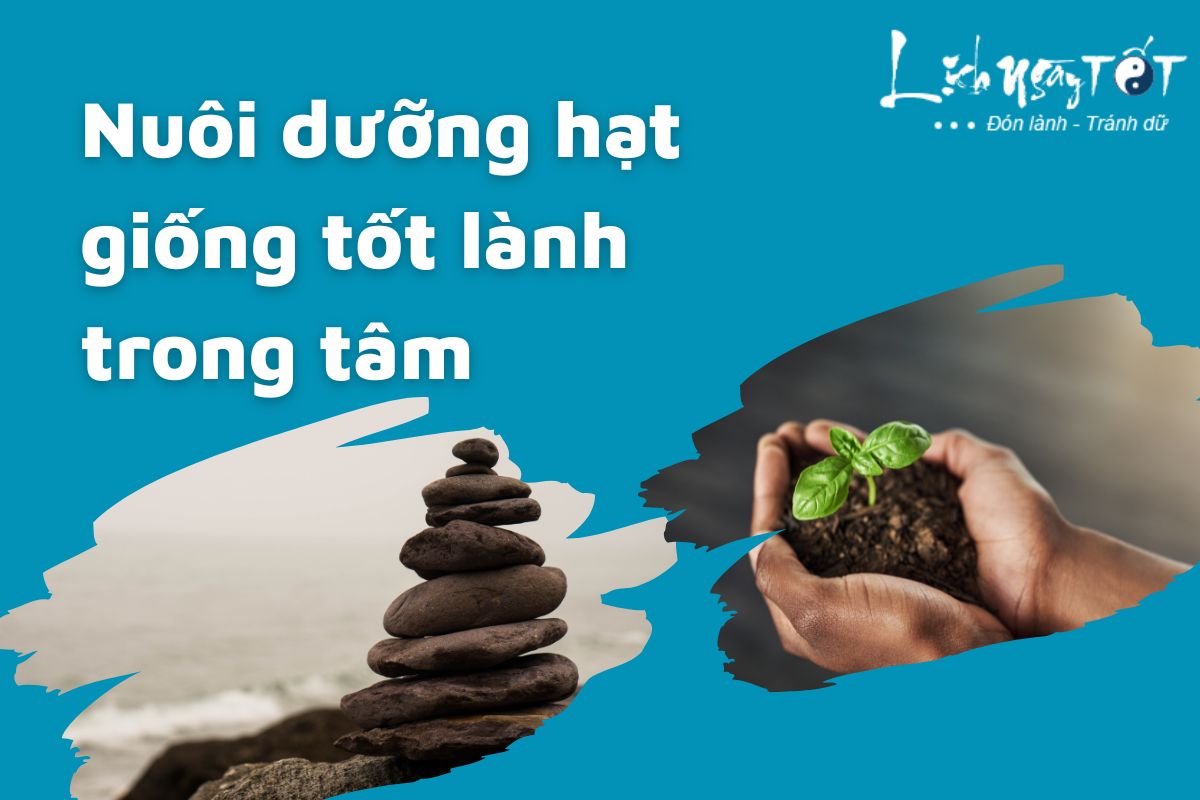 Nuoi duong hat giong tot lanh