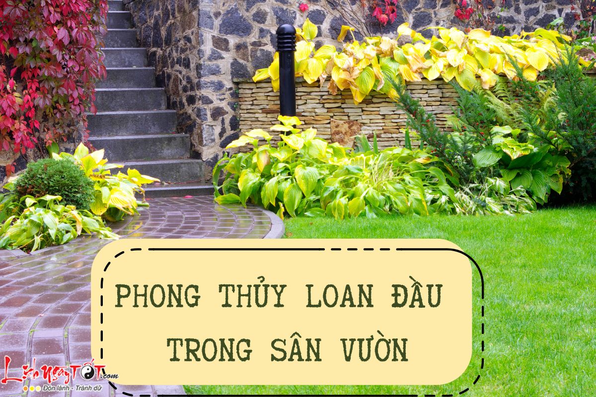 Phong thủy Loan Đầu sân vườn Phong thuy Loan Dau san vuon