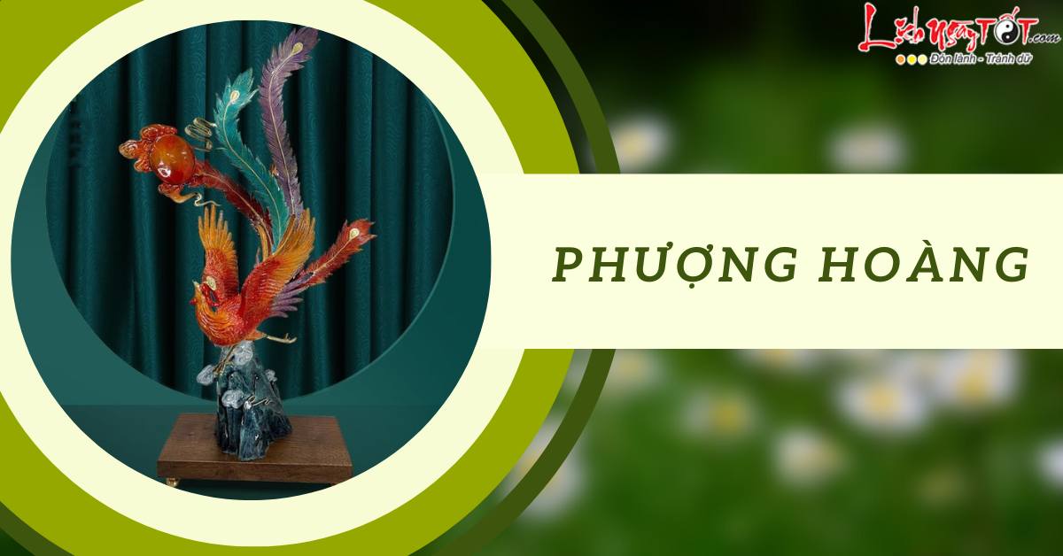 Phượng Hoàng Phuong Hoang