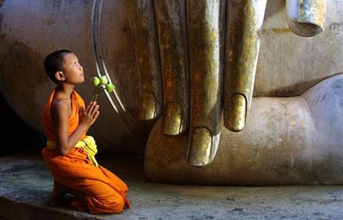 Sam hoi de giai tru nghiep chuong Sam hoi de giai tru nghiep chuong