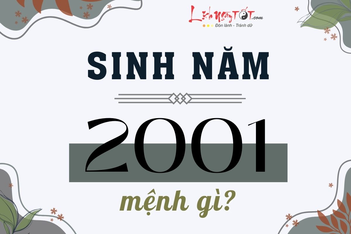 Sinh nam 2001 menh gi?
