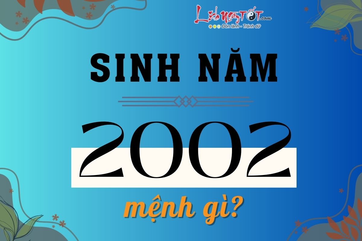 Sinh năm 2002 mệnh gì? Sinh nam 2002 menh gi?