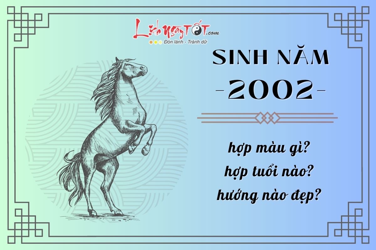 Sinh năm 2002 - Tuổi Nhâm Ngọ Sinh nam 2002 - Tuoi Nham Ngo
