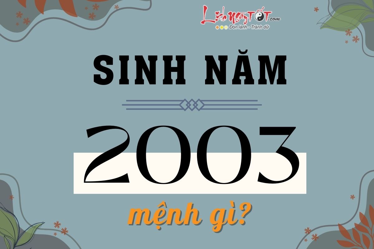Sinh nam 2003 menh gi?