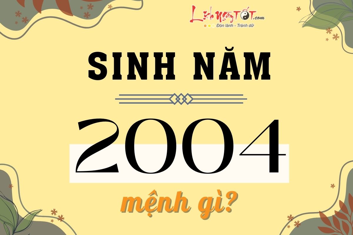 Sinh nam 2004 menh gi?