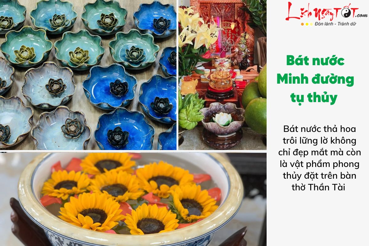 Tác dụng của minh đường tụ thủy là gì Tac dung cua minh duong tu thuy la gi