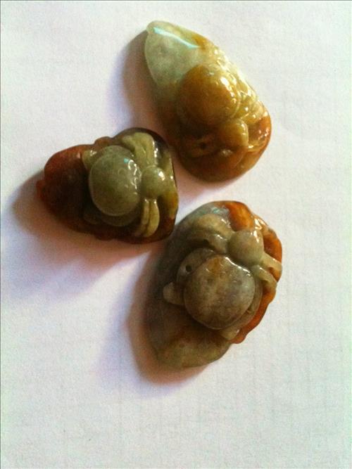 Tác dụng của nhện phong thủy Tac dung cua nhen phong thuy