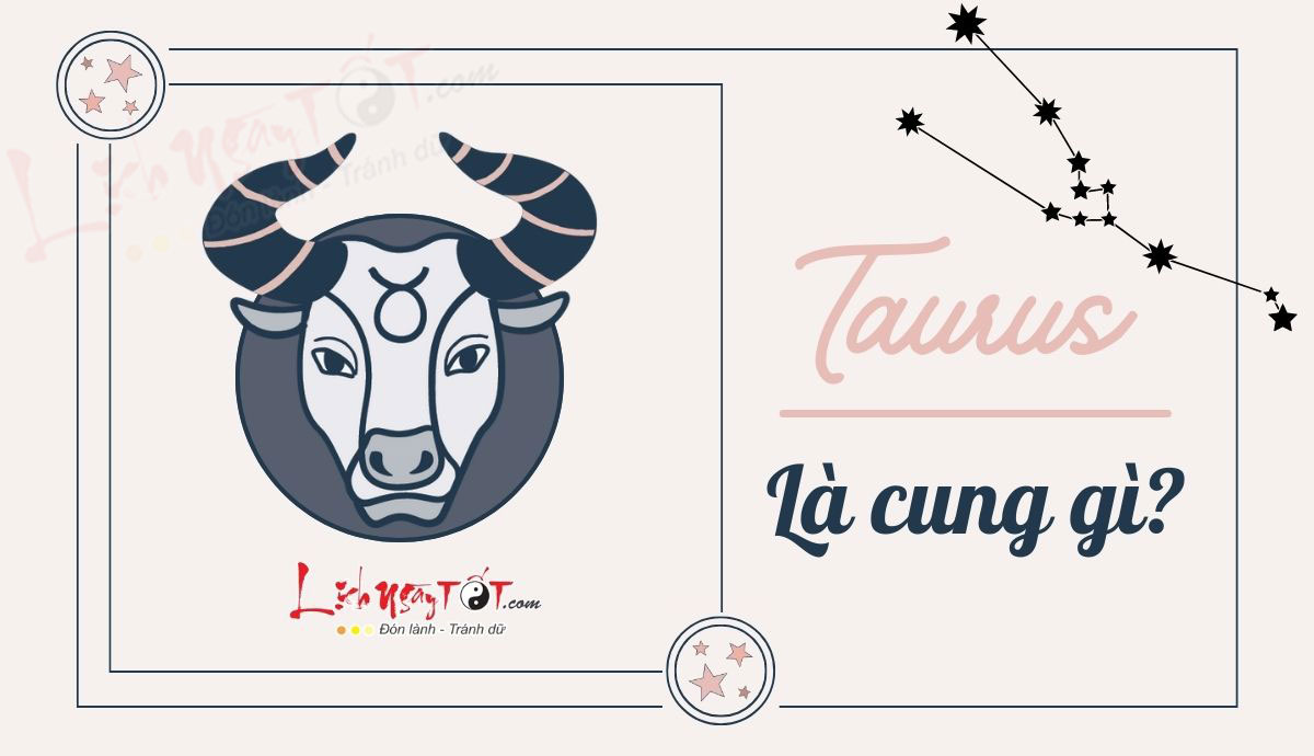 Taurus là cung gì Taurus la cung gi