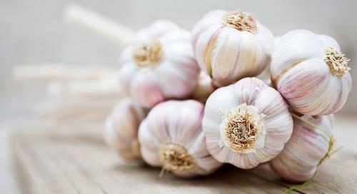 tỏi là thứ không thể thiếu khi cúng vía thần tài toi la thu khong the thieu khi cung via than tai