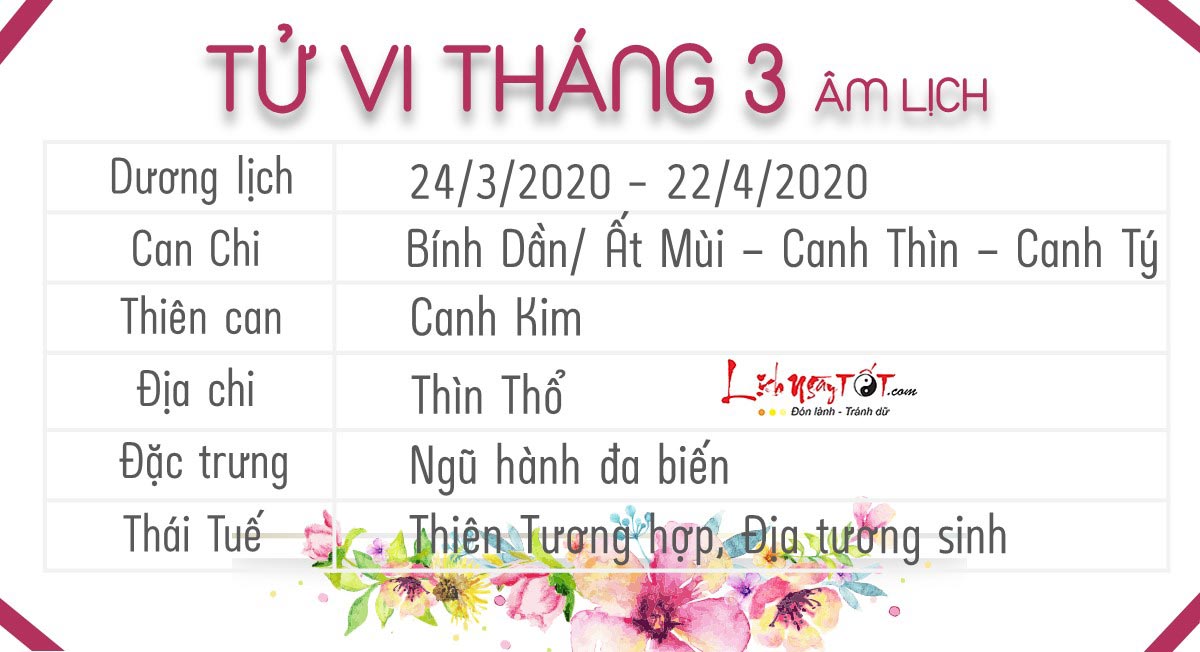 Tong quan