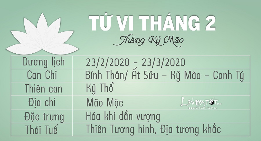 tong quan