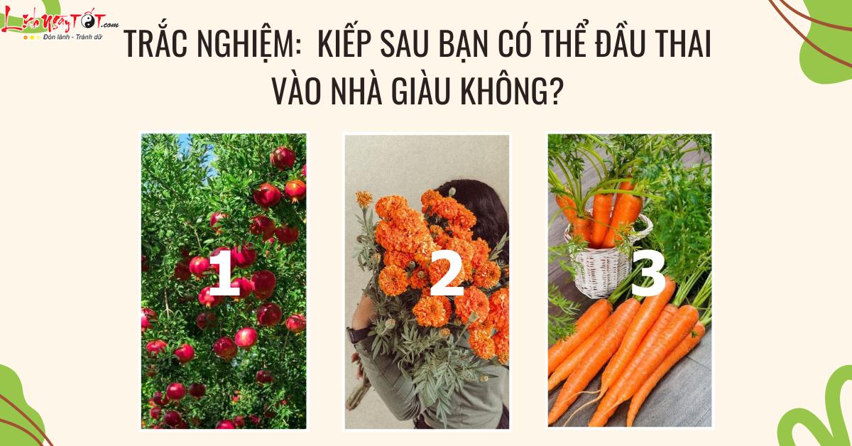trac nghiem so phan kiep sau
