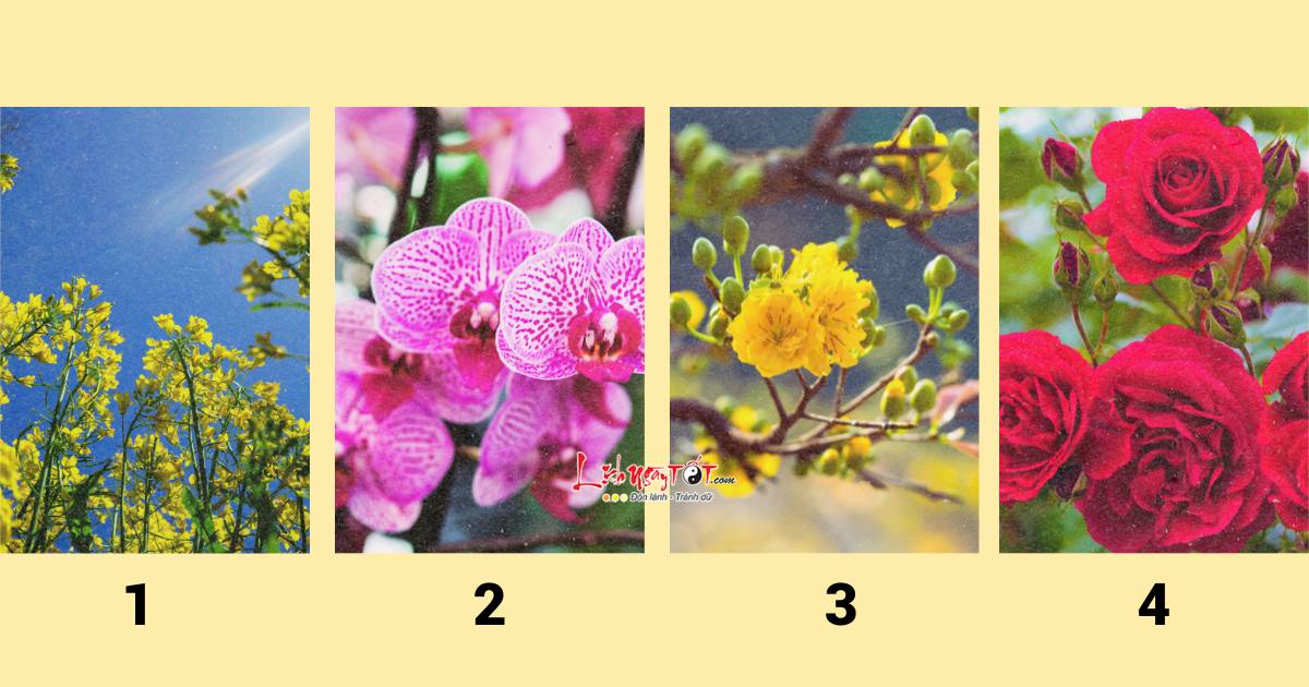 trắc nghiệm xem tiền bạc của bạn trong 50 ngày tới trac nghiem xem tien bac cua ban trong 50 ngay toi