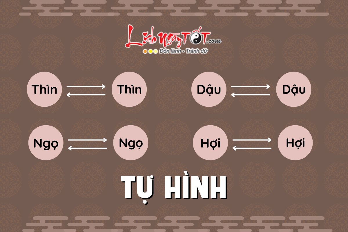 Tự Hình Thái Tuế Tu Hinh Thai Tue
