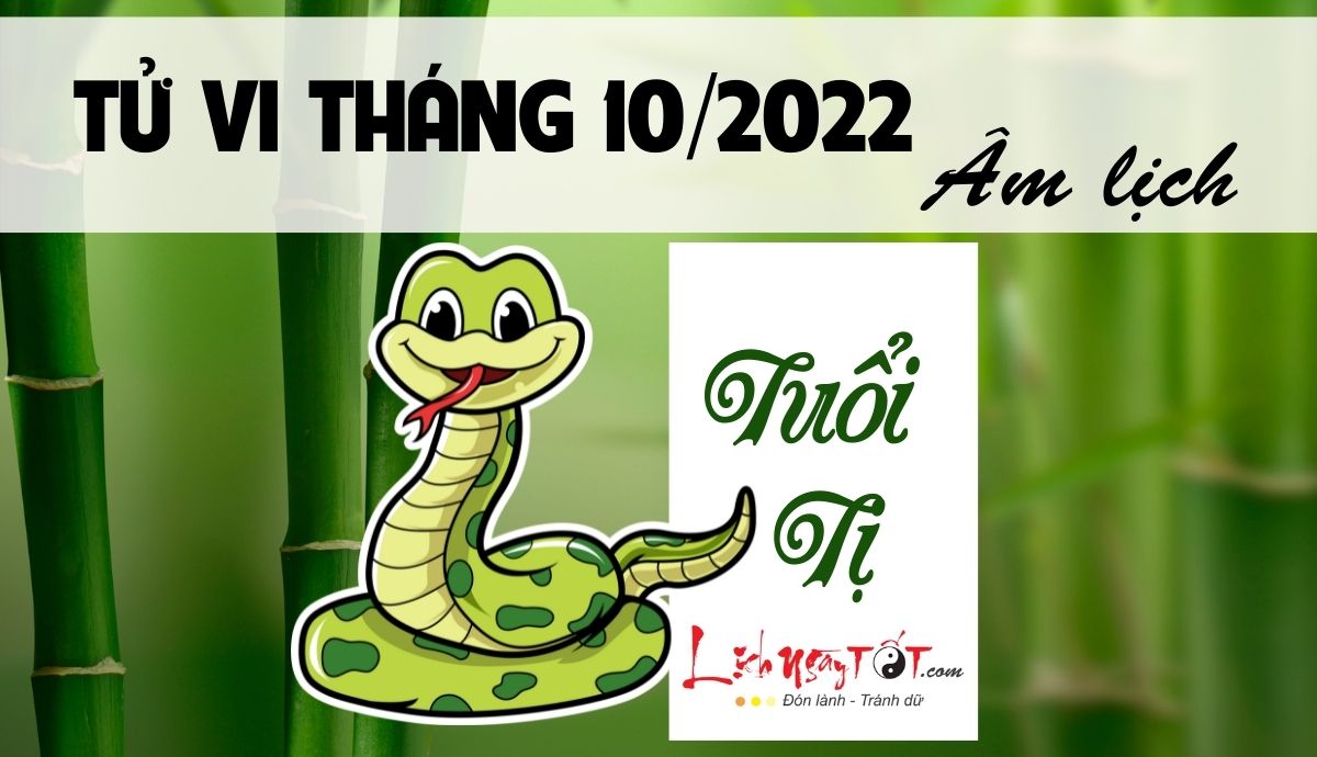 Tu vi thang 10/2022 tuoi Ti Am lich