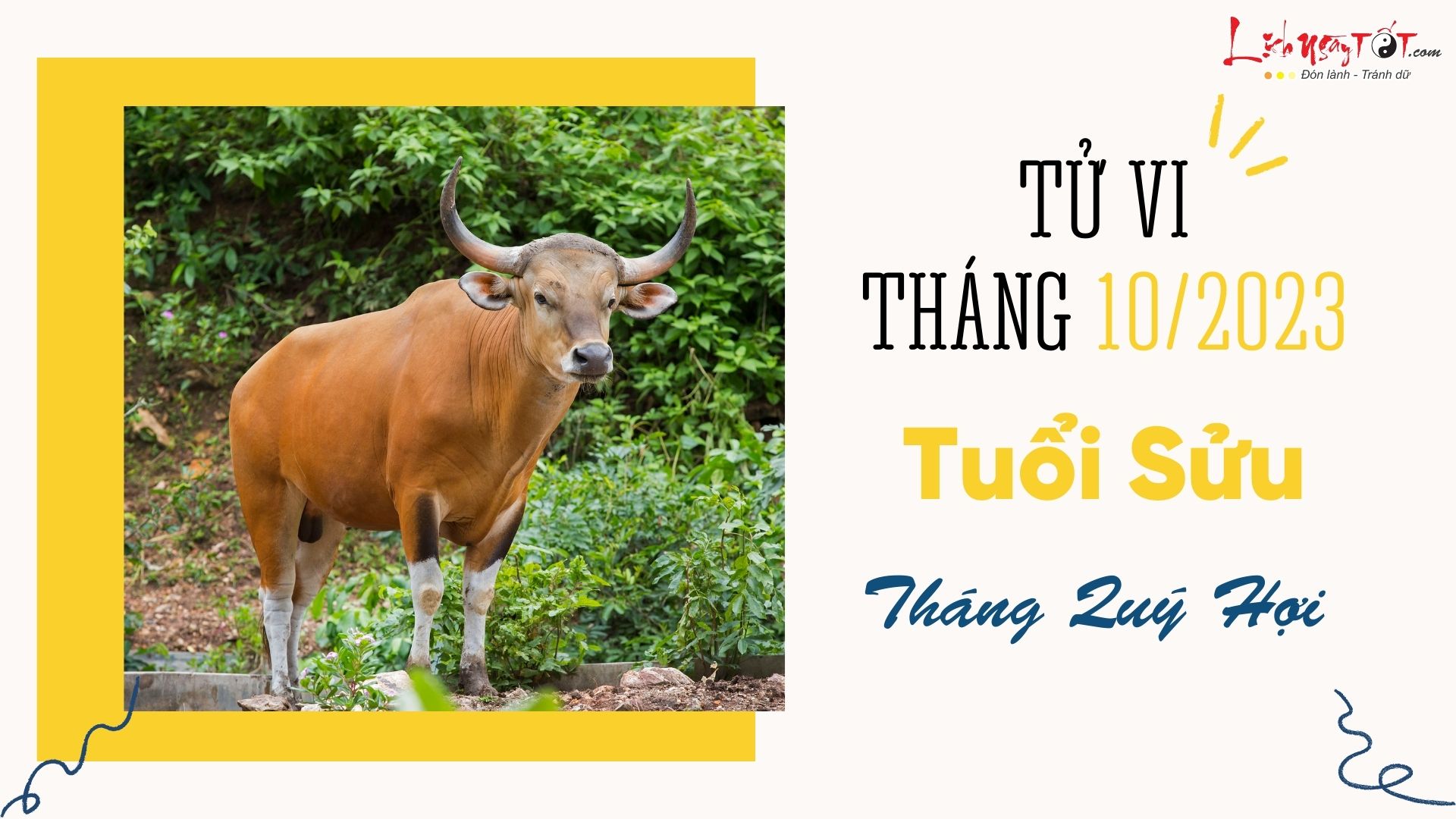 Tu vi thang 10/2023 tuoi Suu am lich