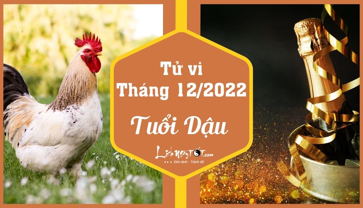Tu vi thang 12/2022 tuoi Dau am lich