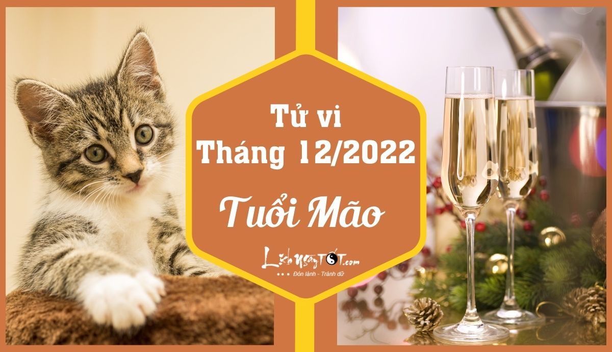 Tử vi tháng 12/2022 tuổi Mão âm lịch Tu vi thang 12/2022 tuoi Mao am lich