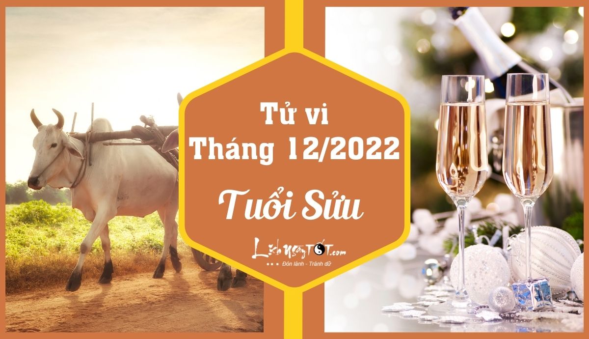 Tử vi tháng 12/2022 tuổi Sửu âm lịch Tu vi thang 12/2022 tuoi Suu am lich
