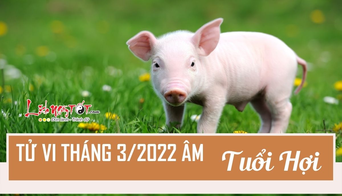 Tu vi thang 3/2022 tuoi Hoi am lich