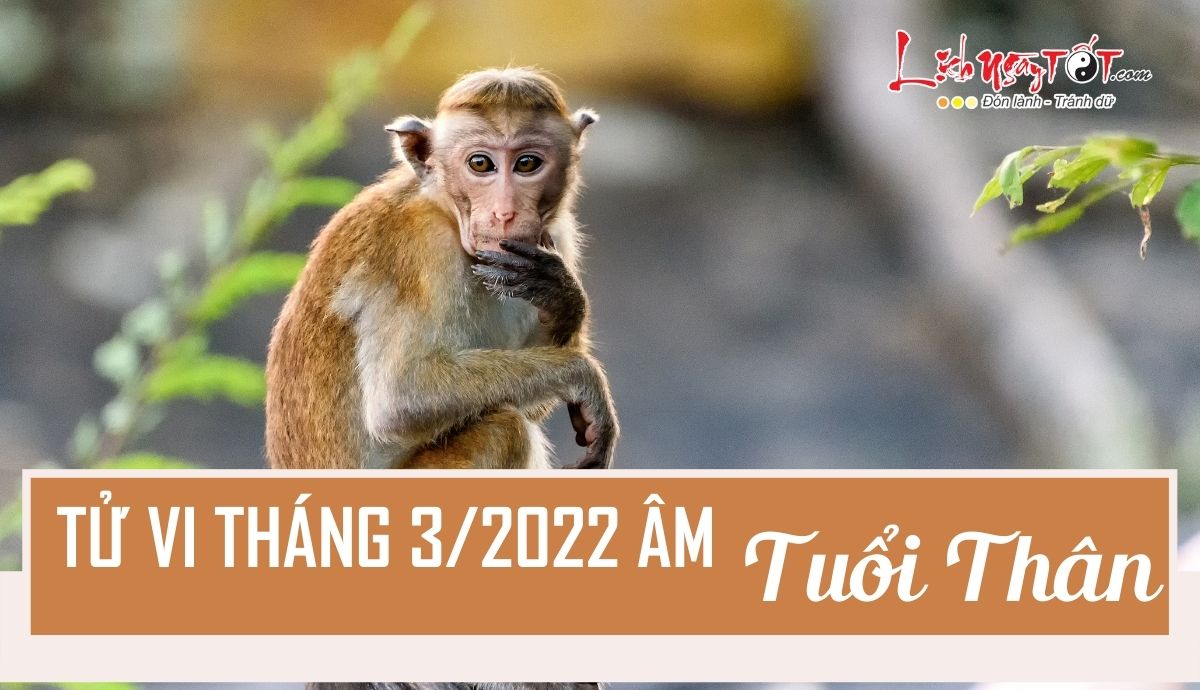 Tu vi thang 3/2022 tuoi Than am lich