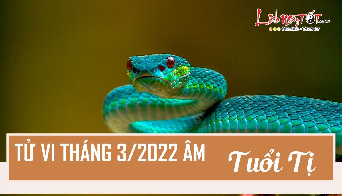 Tu vi thang 3/2022 tuoi Ti am lich